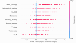 Machine learning prediction of postoperative recurrence in bladder cancer using clinical and laboratory indicators